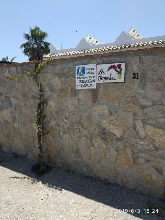 La Orquidea Morada Villa Conil De La Frontera Eksteriør billede
