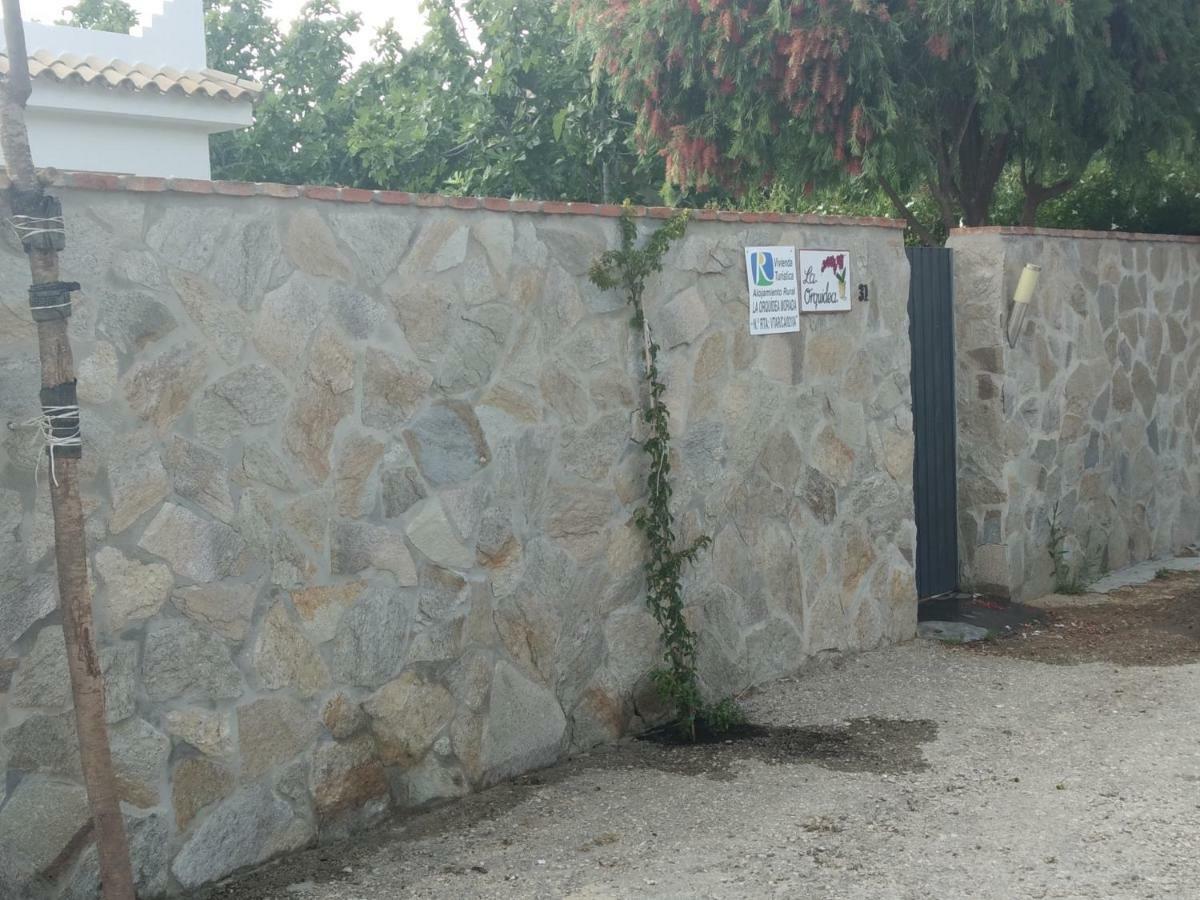 La Orquidea Morada Villa Conil De La Frontera Eksteriør billede